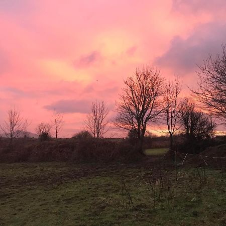 Vila Wyncliffe Hideaway St Davids Exteriér fotografie